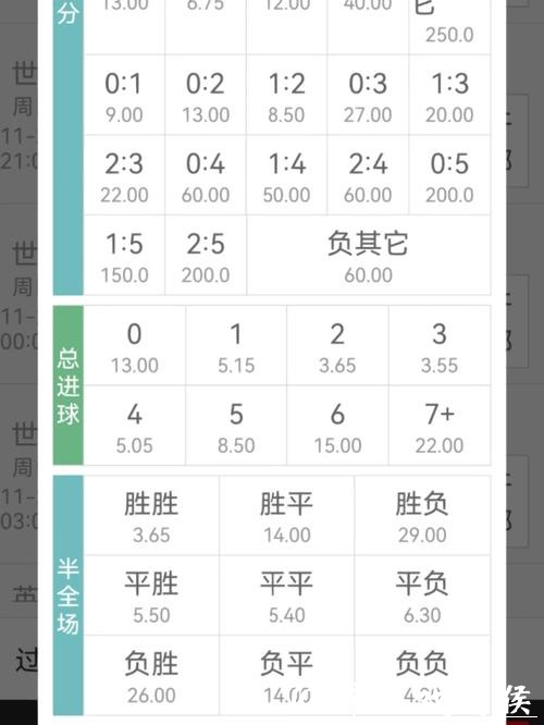 世界杯投注官网：实时赔率与专业分析分享